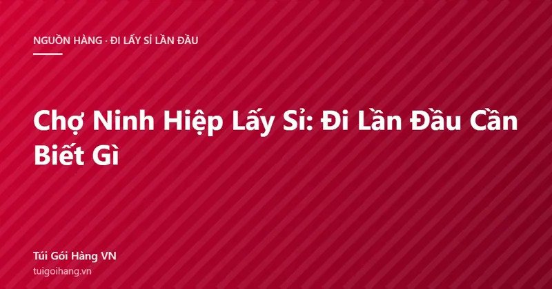 Chợ Ninh Hiệp Lấy Sỉ: Đi Lần Đầu Cần Biết Gì