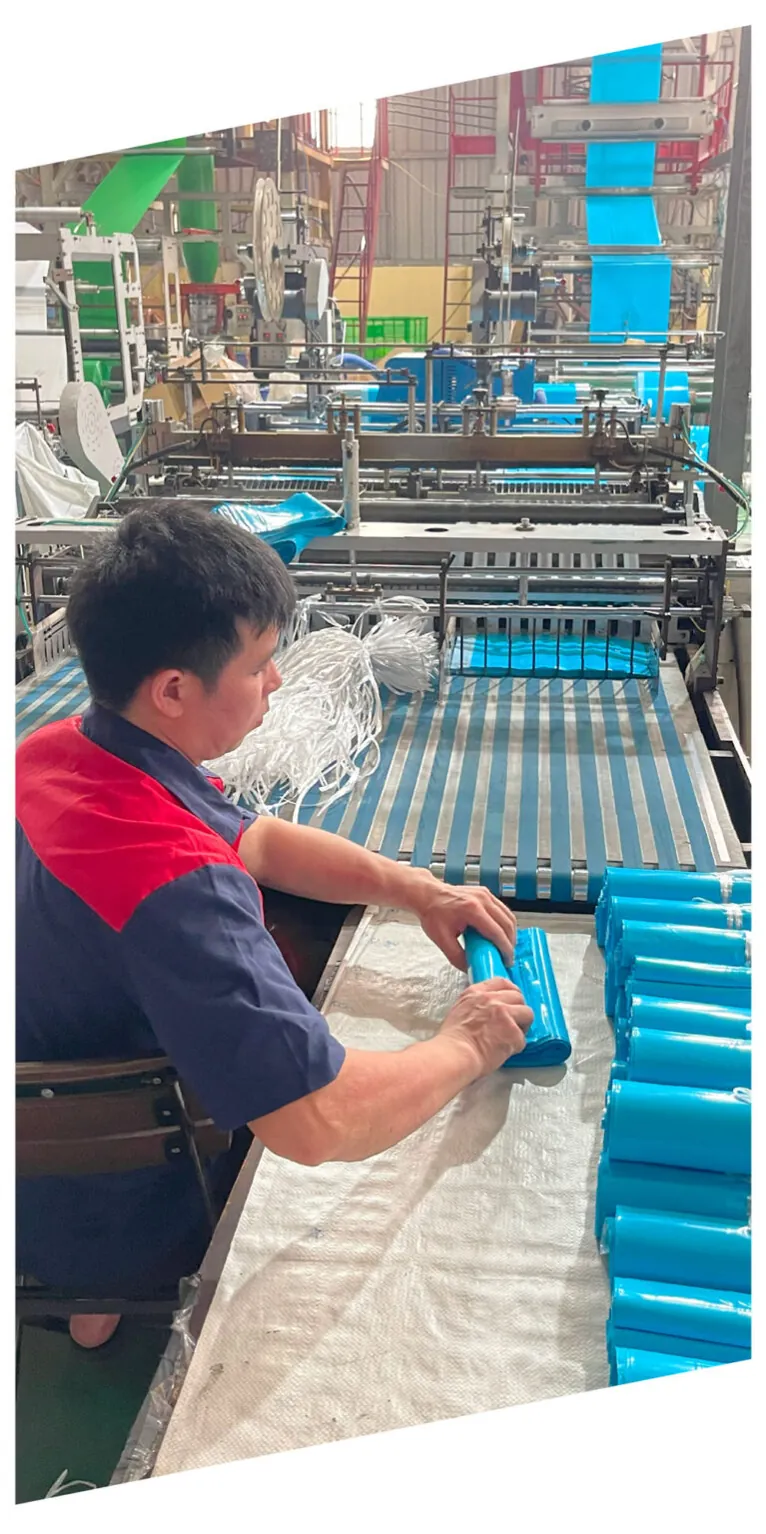 Kiểm túi niêm phong trên băng chuyền