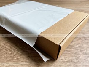 túi niêm phong 32x45 đóng hộp carton