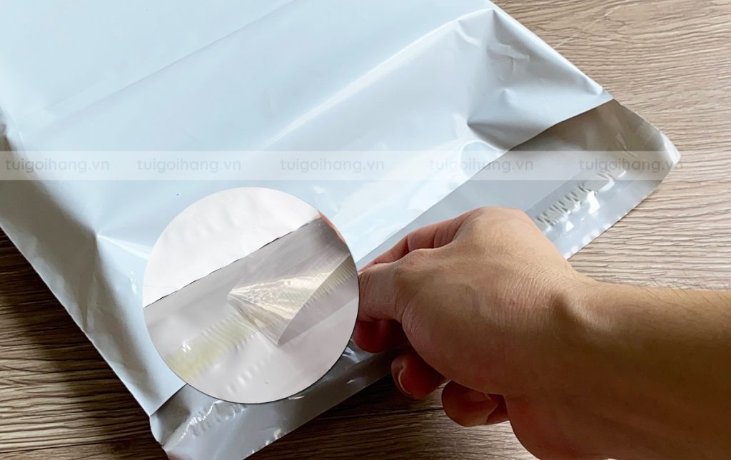túi niêm phong đóng hộp carton