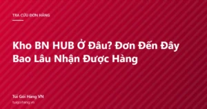 Ảnh đại diện bài viết kho BN HUB ở đâu và đơn đến kho bao lâu nhận được hàng, thương hiệu Túi Gói Hàng VN