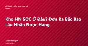 Ảnh đại diện bài viết kho HN SOC ở đâu và đơn ra Bắc bao lâu nhận được hàng, thương hiệu Túi Gói Hàng VN