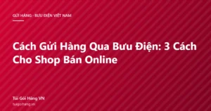 Ảnh bìa bài viết cách gửi hàng qua bưu điện cho shop bán online, nền đỏ thương hiệu Túi Gói Hàng VN
