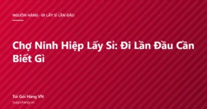 Ảnh đại diện bài viết kinh nghiệm đi chợ Ninh Hiệp lấy sỉ lần đầu của Túi Gói Hàng VN